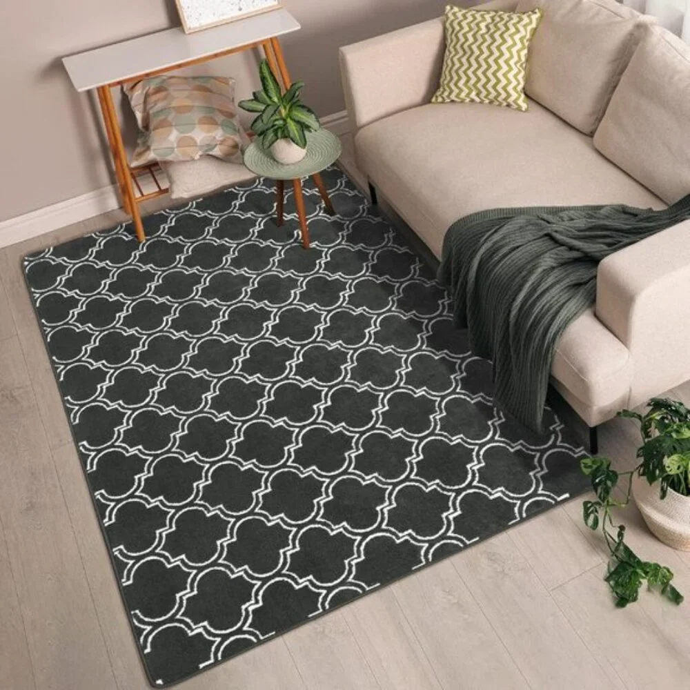 New 4x6 Shag Geometric Area Rug, Memory Foam, Fluffy Carpet for Home, Room Decor